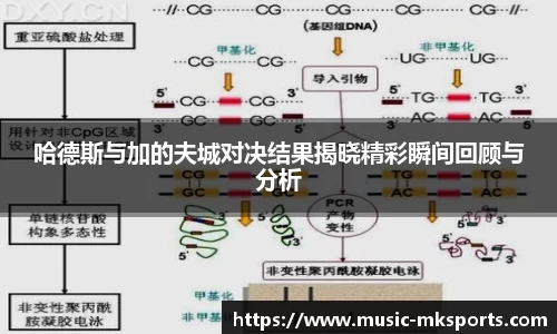 哈德斯与加的夫城对决结果揭晓精彩瞬间回顾与分析