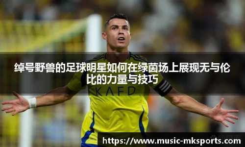 绰号野兽的足球明星如何在绿茵场上展现无与伦比的力量与技巧
