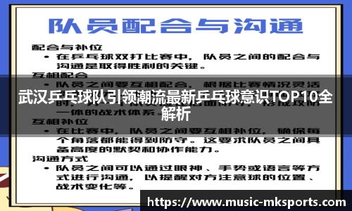武汉乒乓球队引领潮流最新乒乓球意识TOP10全解析